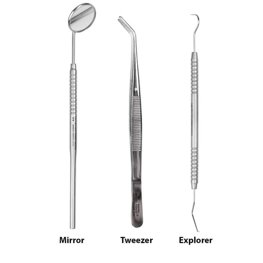 Waldent PMT Set Instrument Kit (Double Ended) (K13/2)