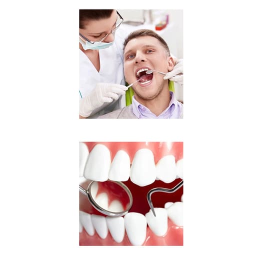 GDC Pmt Set Of 3 (PMTWC4)