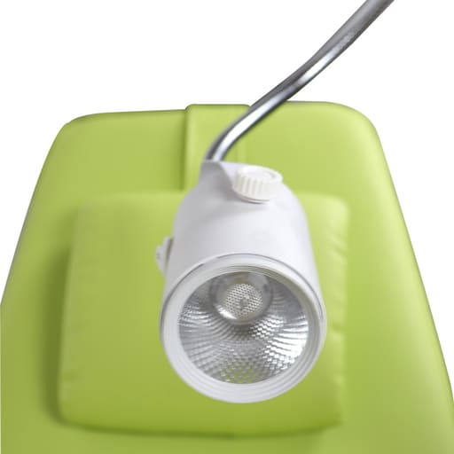 Waldent Eezee Portable Dental Chair - Green