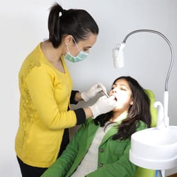Waldent Eezee Portable Dental Chair - 12
