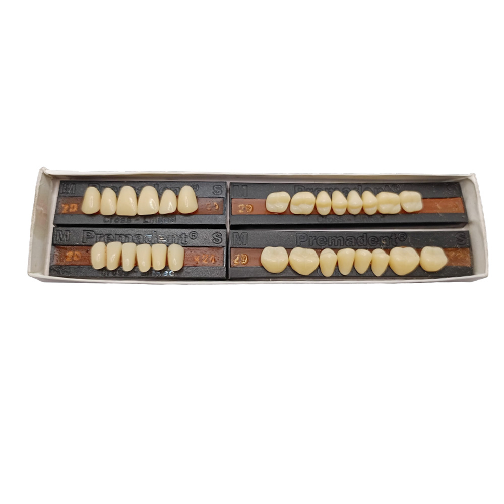 Premadent Teeth Set -D2-24