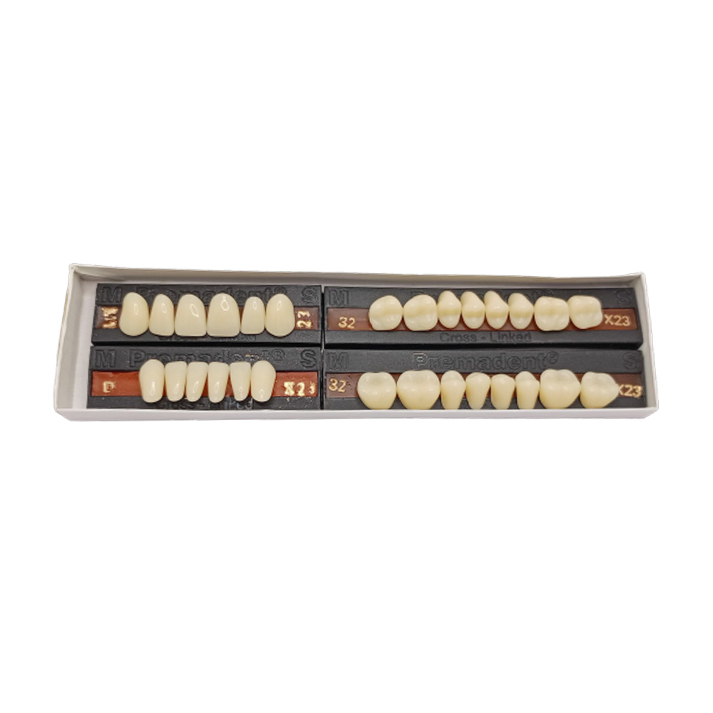 Premadent Teeth Set -M1-23