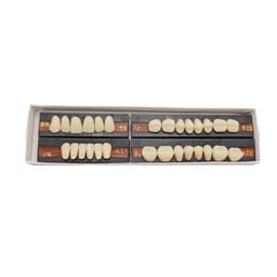 Premadent Teeth Set -N2-23
