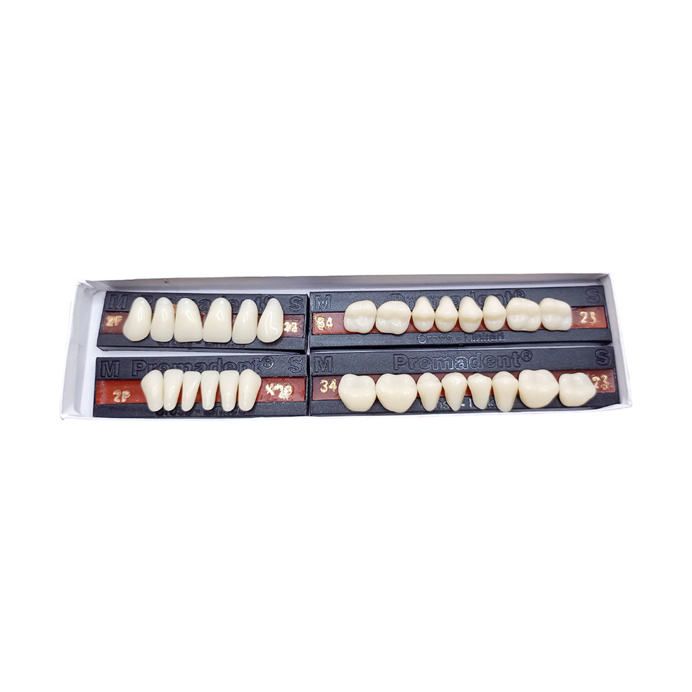 Premadent Teeth Set -P2-23