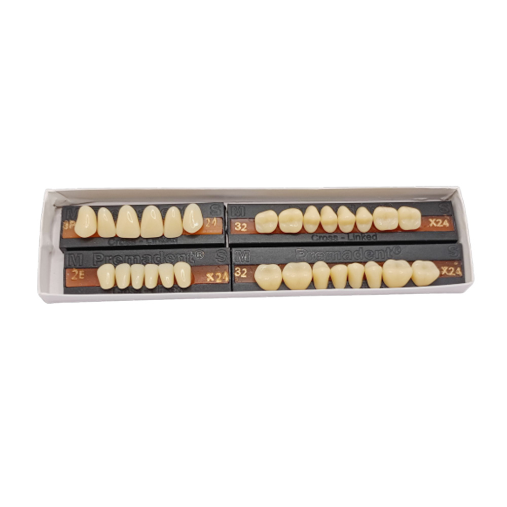 Premadent Teeth Set -P3-24