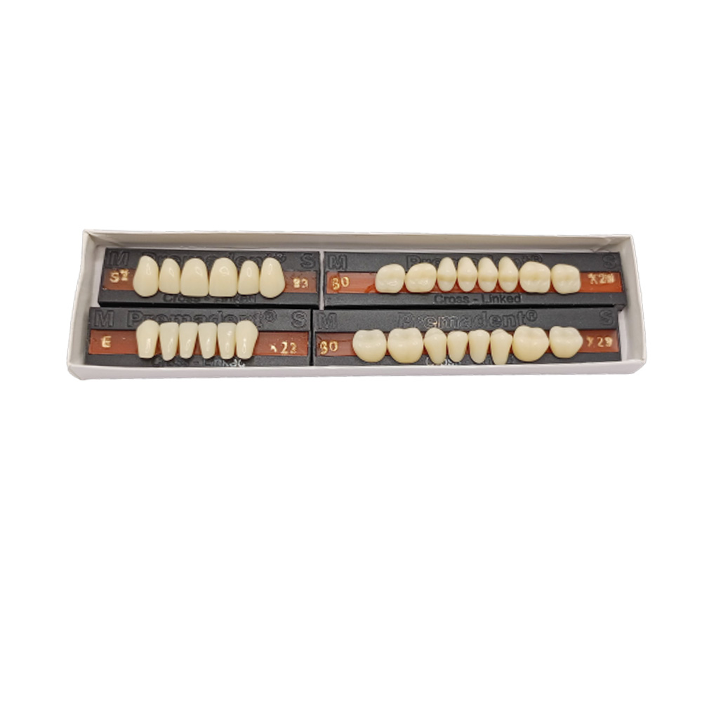 Premadent Teeth Set -S2-23