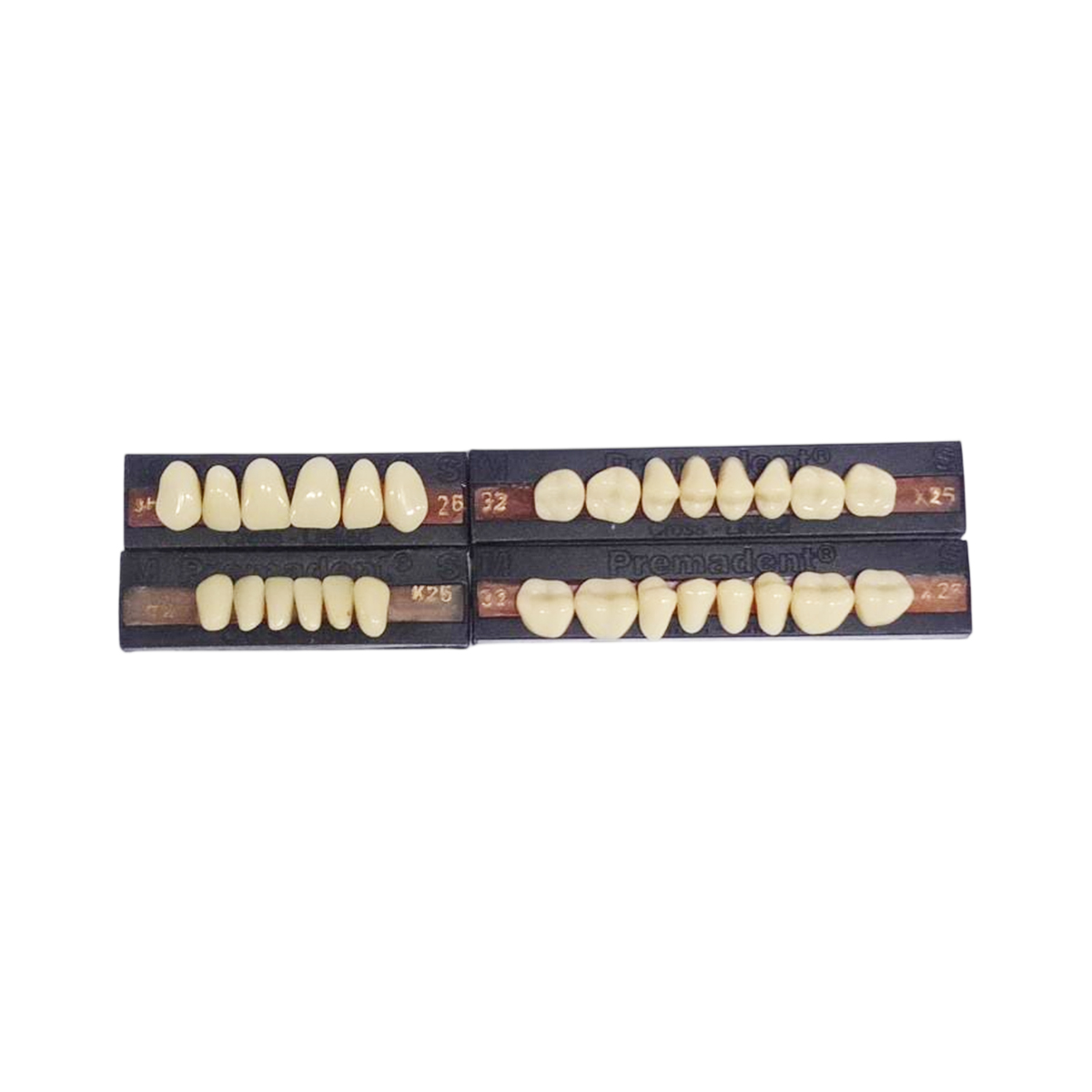 Premadent Teeth Set -P3-25
