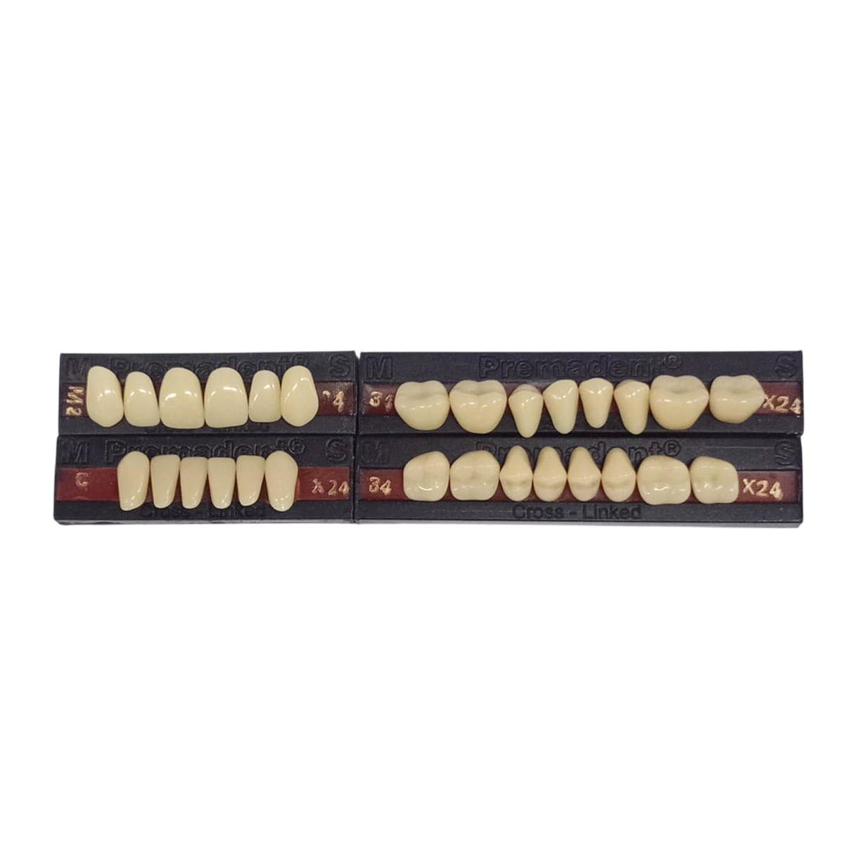 Premadent Teeth Set -M2-24