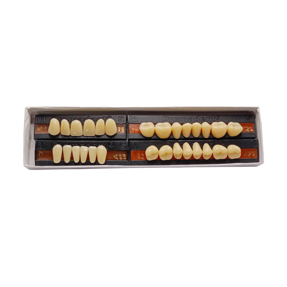 Premadent Teeth Set -M1-25