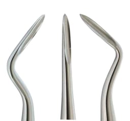 Waldent Flohr Root Elevators - 6
