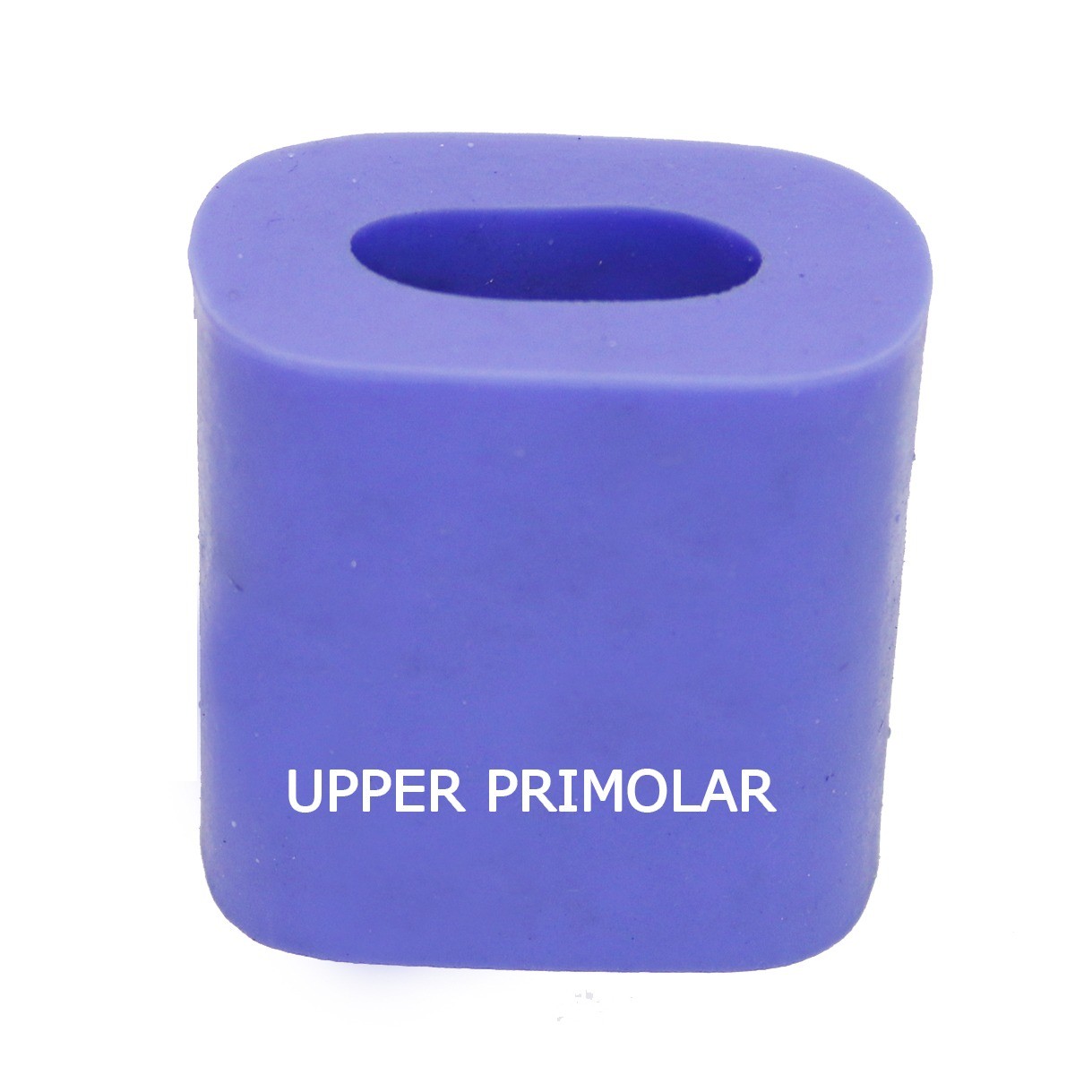 API Model Former - Teeth Enlarger # Upper Premolar 
