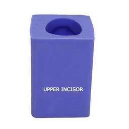 API Model Former - Teeth Enlarger # Upper Incisor 