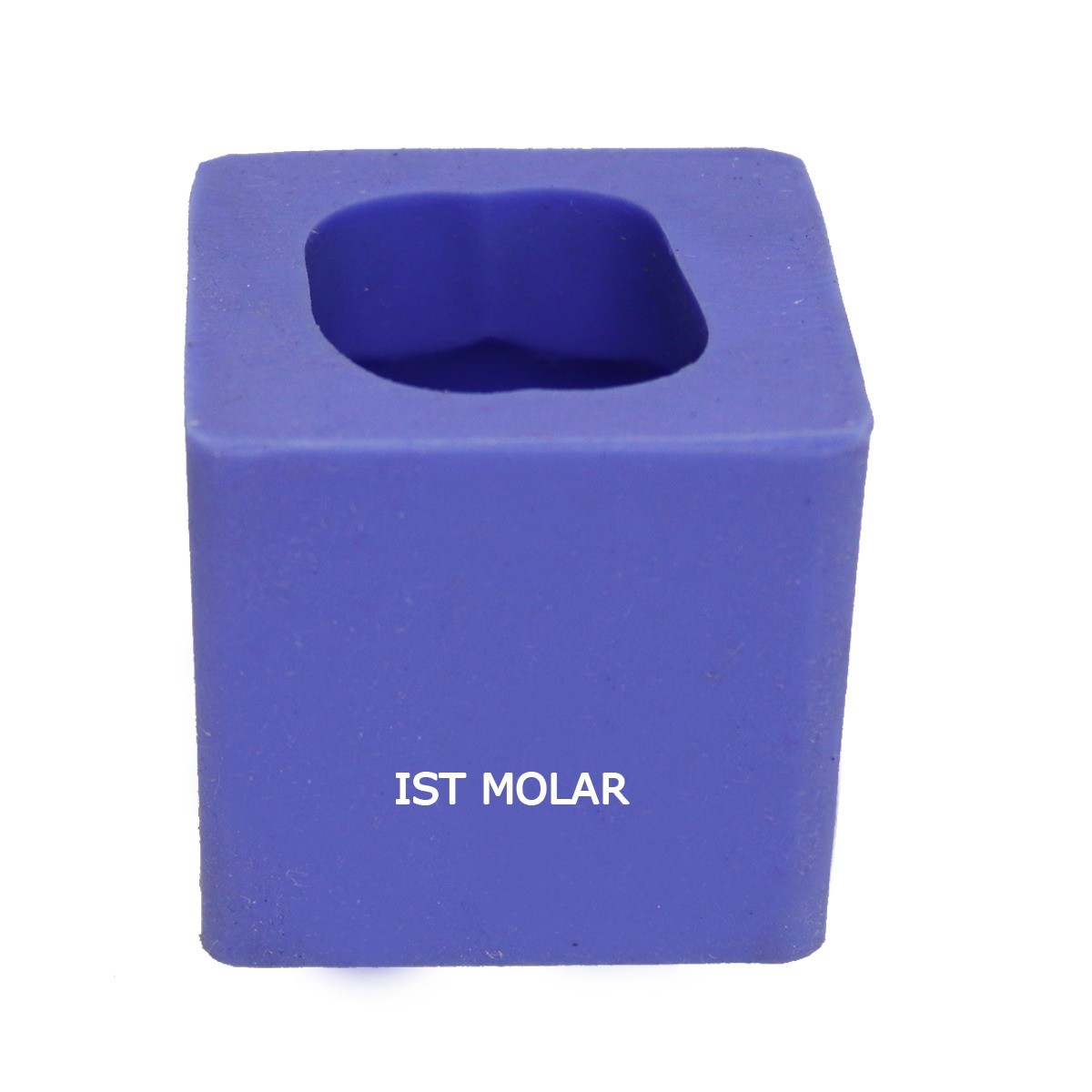 API Model Former - Teeth Enlarger # Upper 1st Molar 