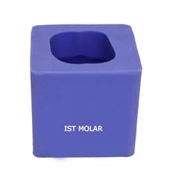 API Model Former - Teeth Enlarger # Upper 1st Molar 