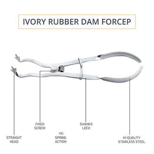 GDC Rubber Dam Forcep - Ivory (17cm) (Rdf)