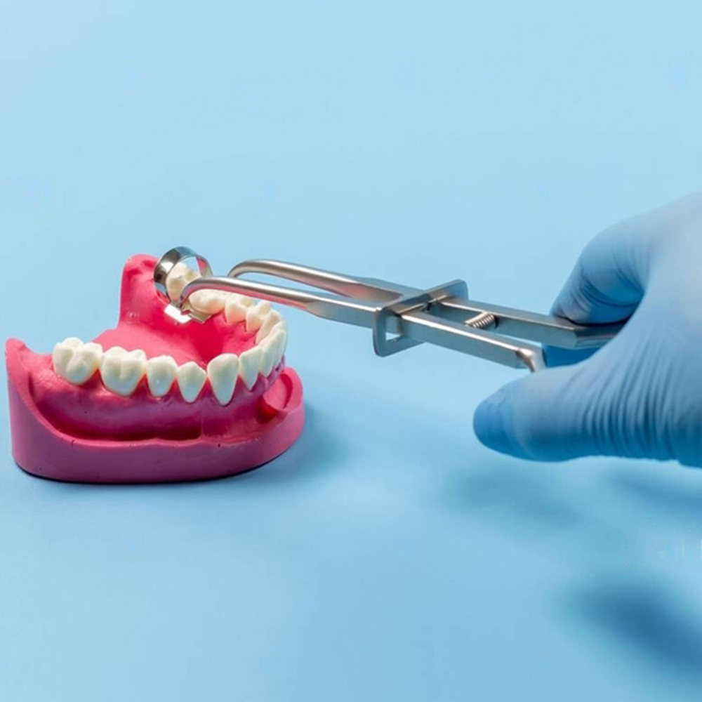 GDC Rubber Dam Forcep - Stoke (17.5cm) (Rdf4e)