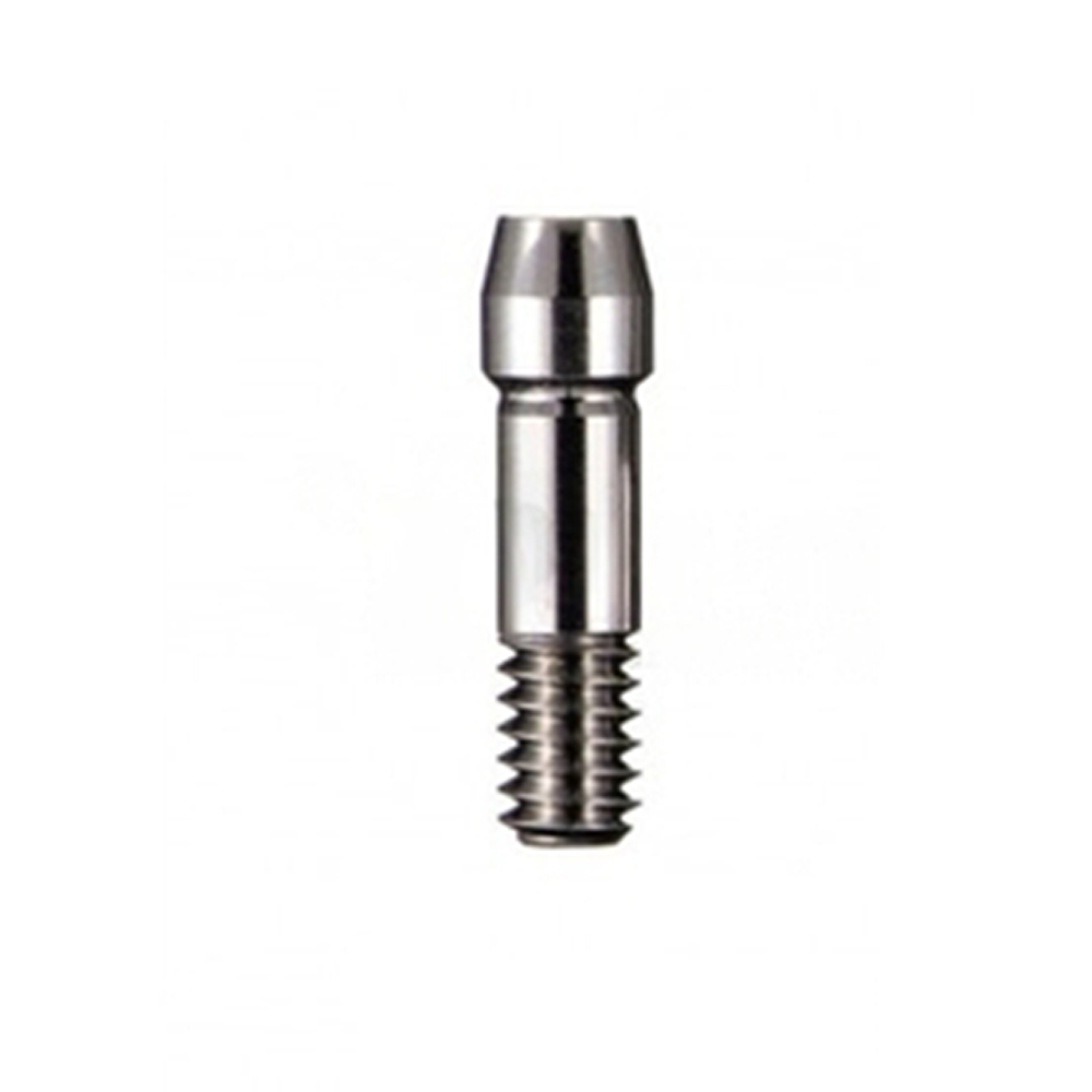 Mediden Osstem TS Regular Compatible Titanium Abutment Screw (S-58)