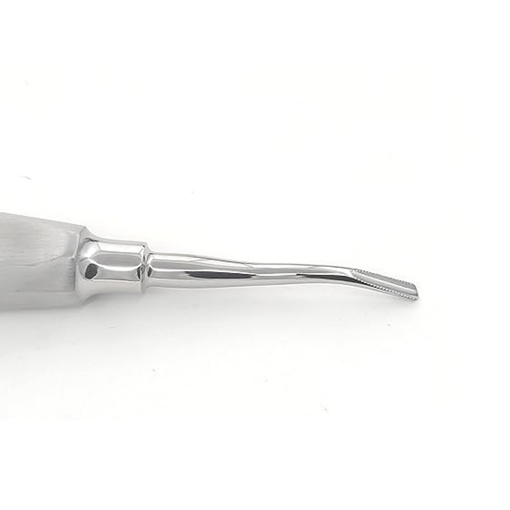Waldent Root Elevator With Mesial Serrated Tip - 77R (2/132)