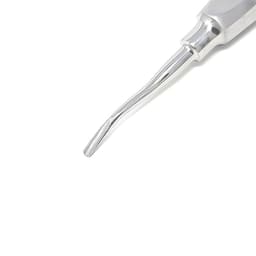 Waldent Root Elevator With Mesial Serrated Tip - 77R (2/132) - 3