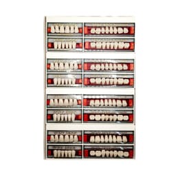 Ruthinium Acryrock Teeth Sets-S 61-A3 (Pack of 4 sets)
