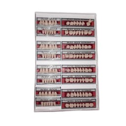 Ruthinium Acryrock Teeth Sets-S25-A3 (Pack of 4 sets)