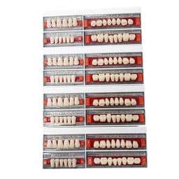Ruthinium Acryrock Teeth Sets-S26-A2