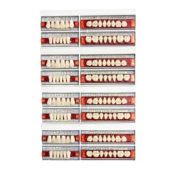 Ruthinium Acryrock Teeth Sets-S 41-A3 (Pack of 4 sets)
