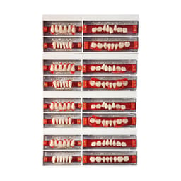 Ruthinium Acryrock Teeth Sets-S 60-A3 (Pack of 4 sets)