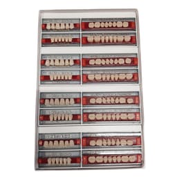 Ruthinium Acryrock Teeth Sets-S13-A2 