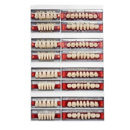 Ruthinium Acryrock Teeth Sets-S 55-A3 (Pack of 4 sets)