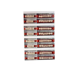 Ruthinium Acryrock Teeth Sets-S 13-A3 (Pack of 4 sets)