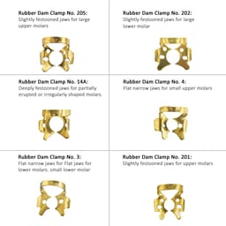Waldent Rubber Dam Clamps Kit Titanium Gold (Set of 11) (K16/3) - 11