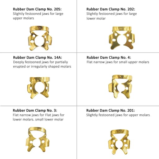 Waldent Rubber Dam Clamps Kit Titanium Gold (Set of 11) (K16/3)
