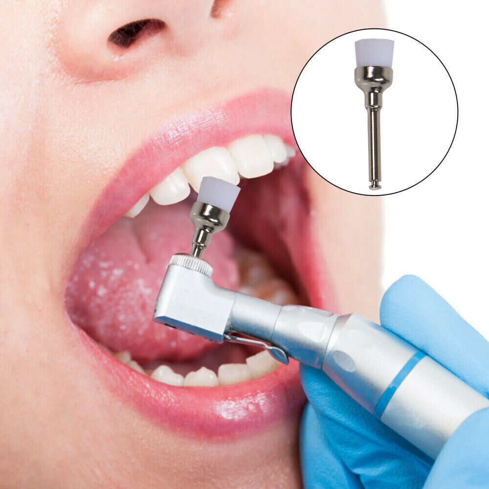 Cotisen Prophy Brushes (Pack Of 100)