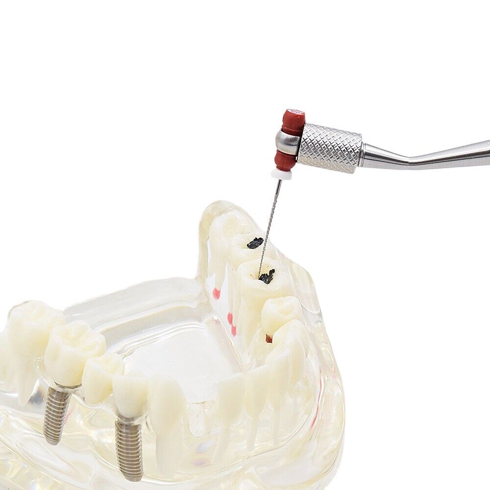 Julldent Endo File Holder