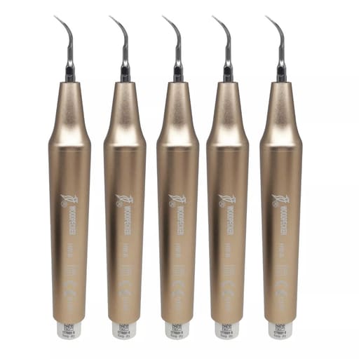 Woodpecker HW-6 Scaler Handpiece