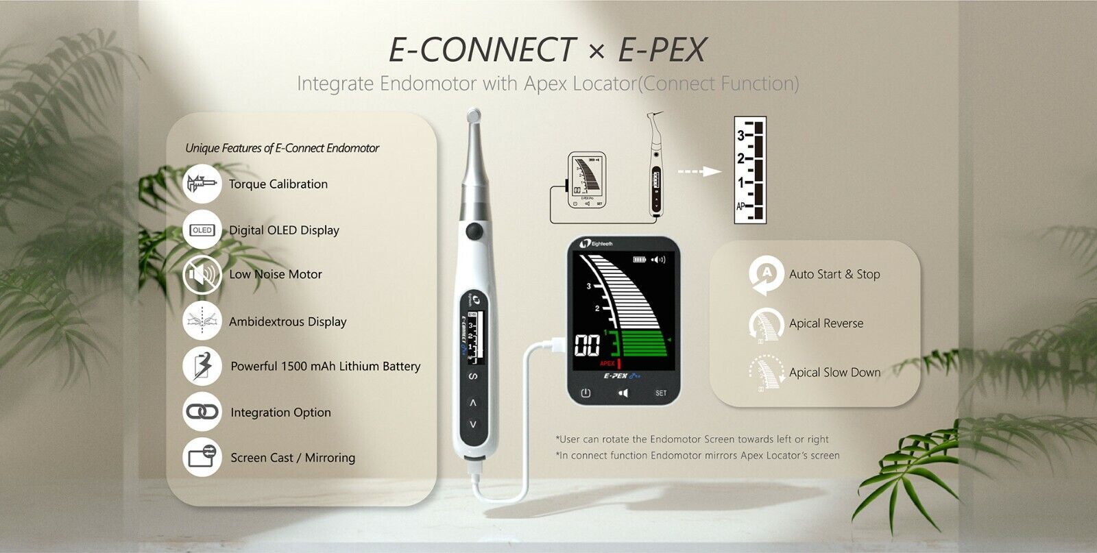 Eighteeth Medical E-Connect Endomotor with E-Pex Apex Locator Combo