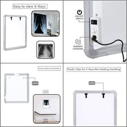 OPG X-
