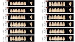 Ruthinium Acryrock Teeth Sets A3 (Pack of 4 sets) - 6