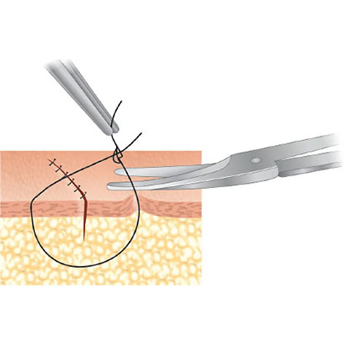 GDC Scissors Quinby - Curved (12.5cm) (S8)