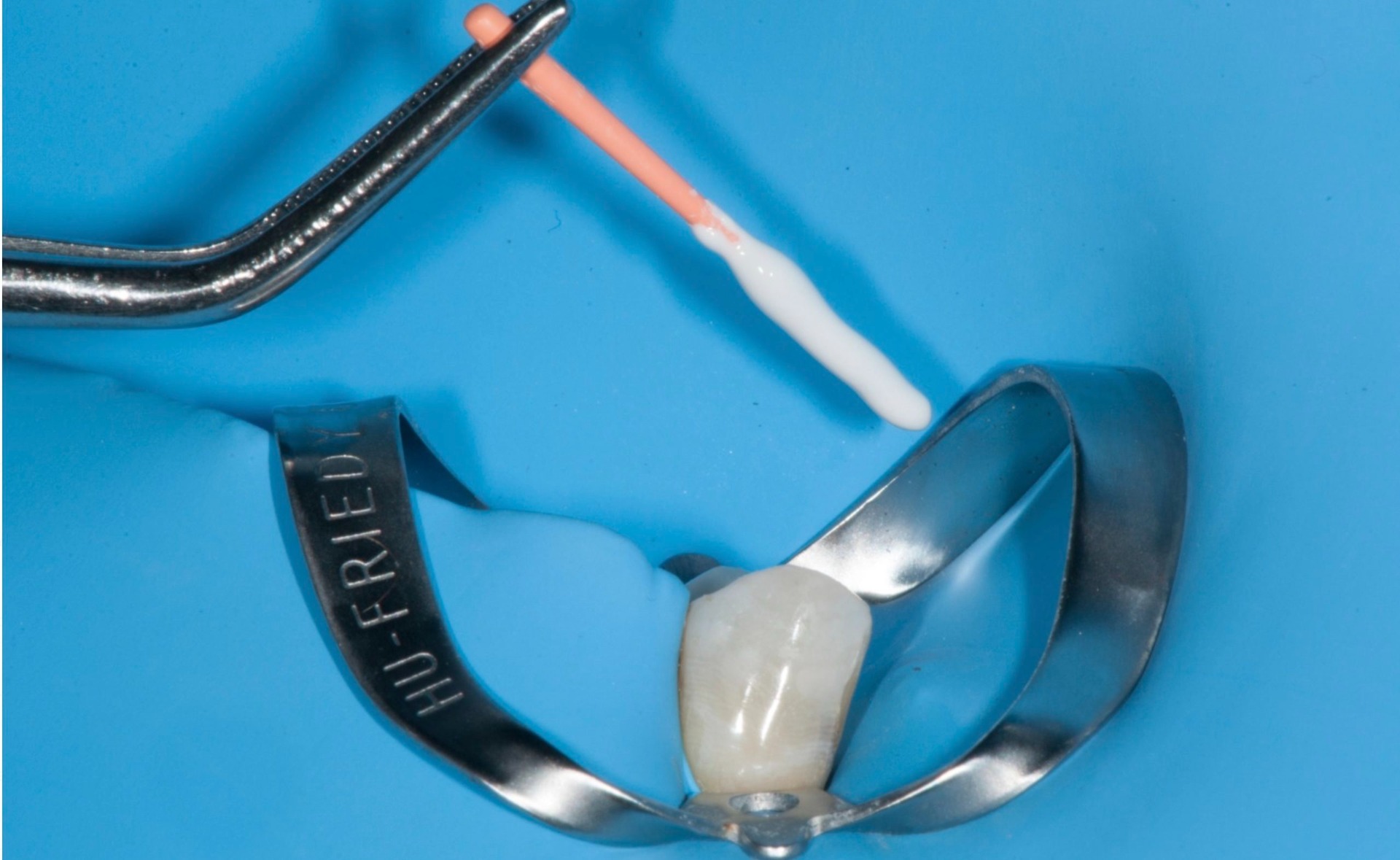 Pd Endofill (15 Gm Powder + 15 Ml Liquid)