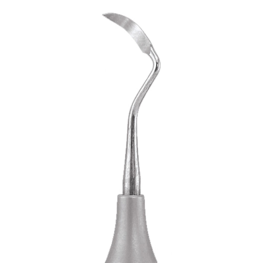 GDC Sickle Scalers Crane-Kaplan #6 (Sck6)