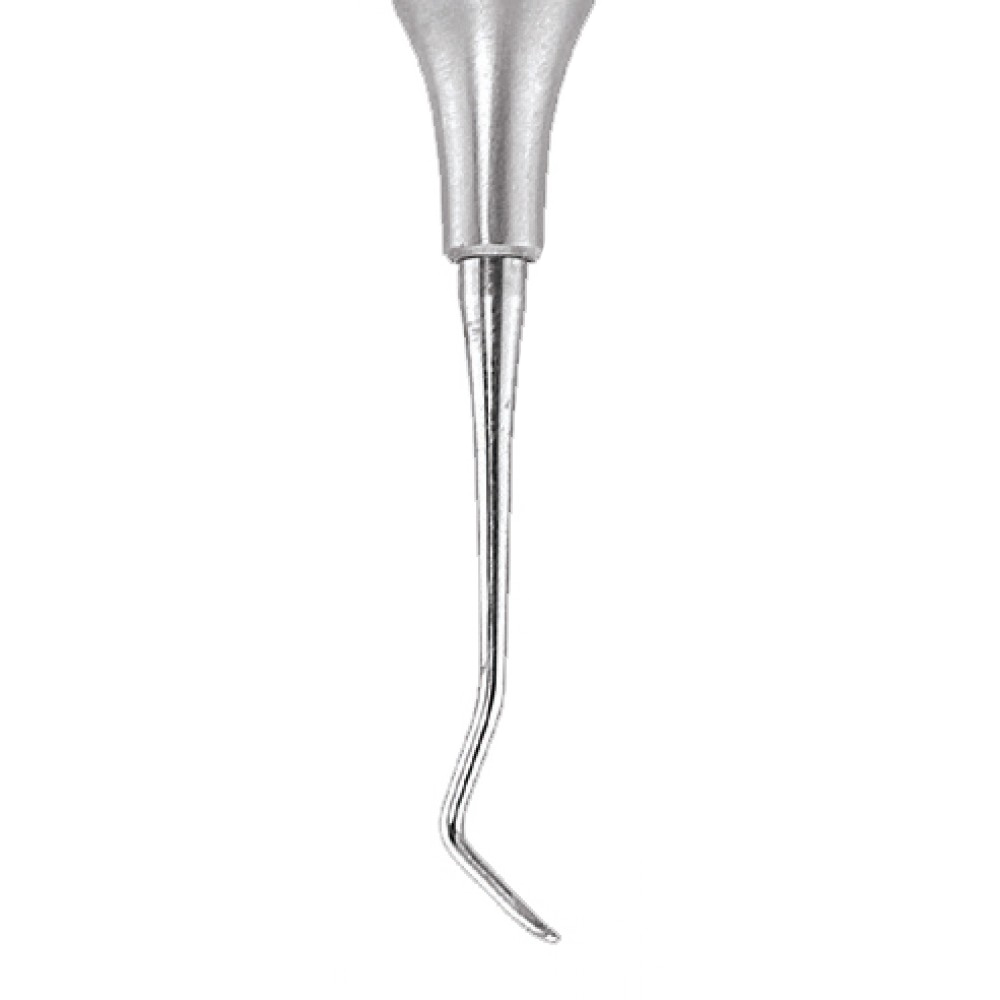 Waldent Sickle Scalers 