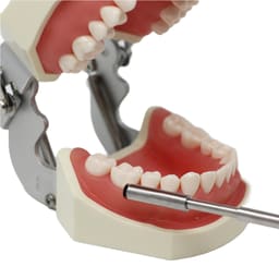 Julldent Bone Scraper With 2 Blades and Refills European Design - 3