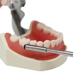 Julldent Bone Scraper With 2 Blades and Refills European Design - 4