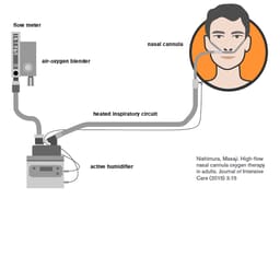 The 9192 Nasal Oxygen Cannula Nasal Cannula (Pack Of 1) - 6