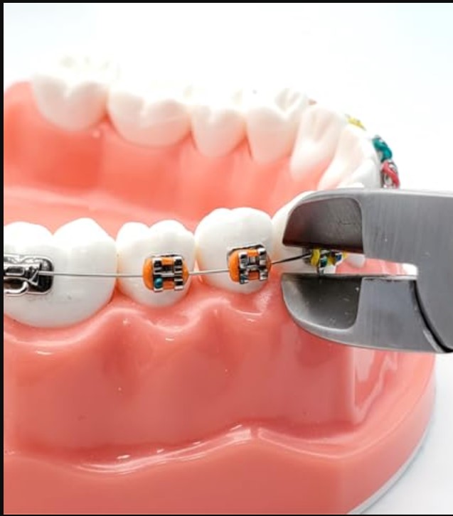 GI Dental Wire Cutter