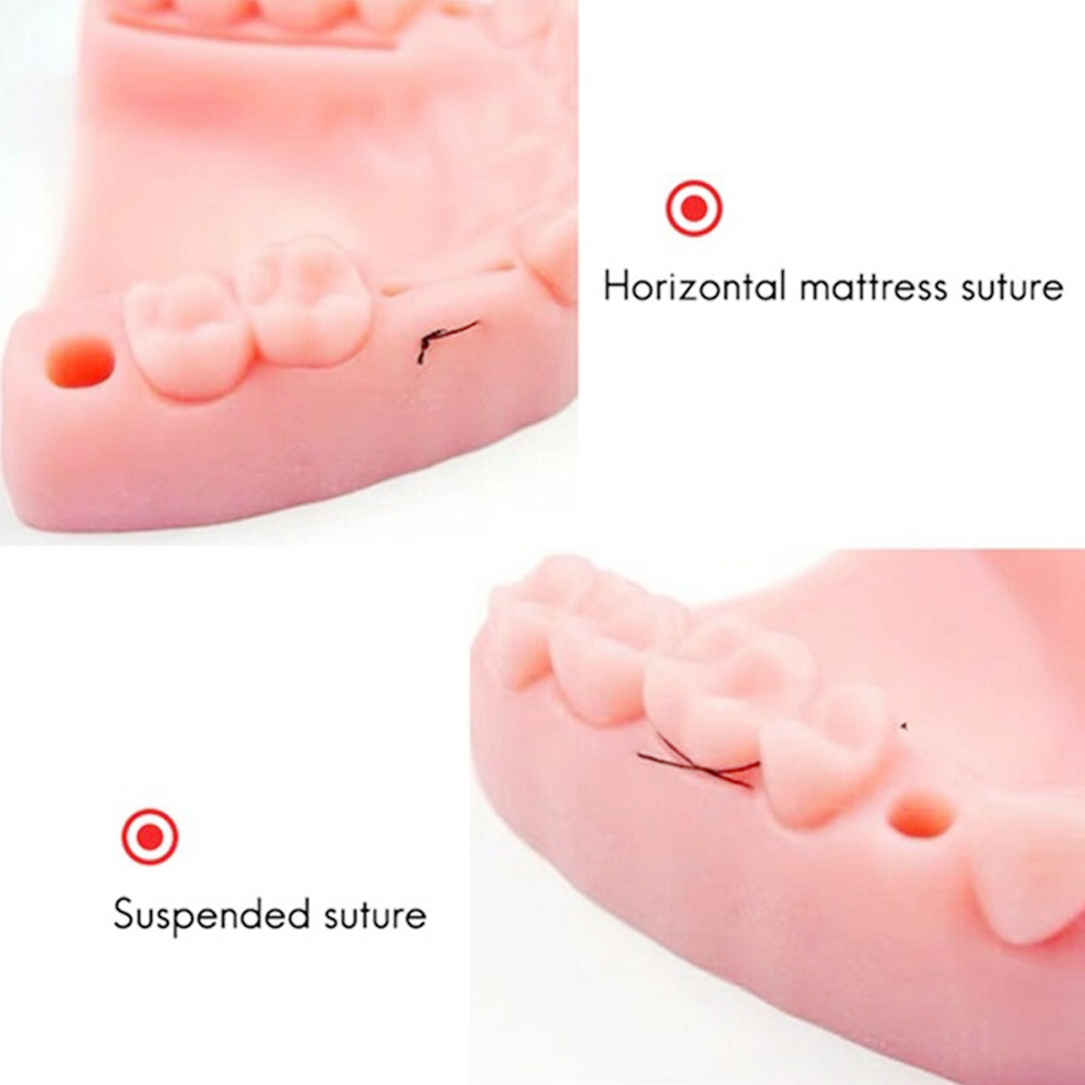 iDENTical Dental Educational Suture Model	
