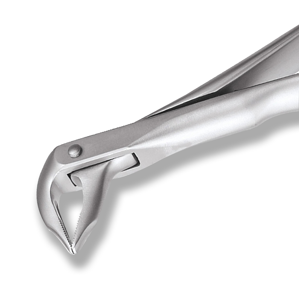 GDC Extraction Forceps Lower Roots - 959.01 Secure (SFX959.01)