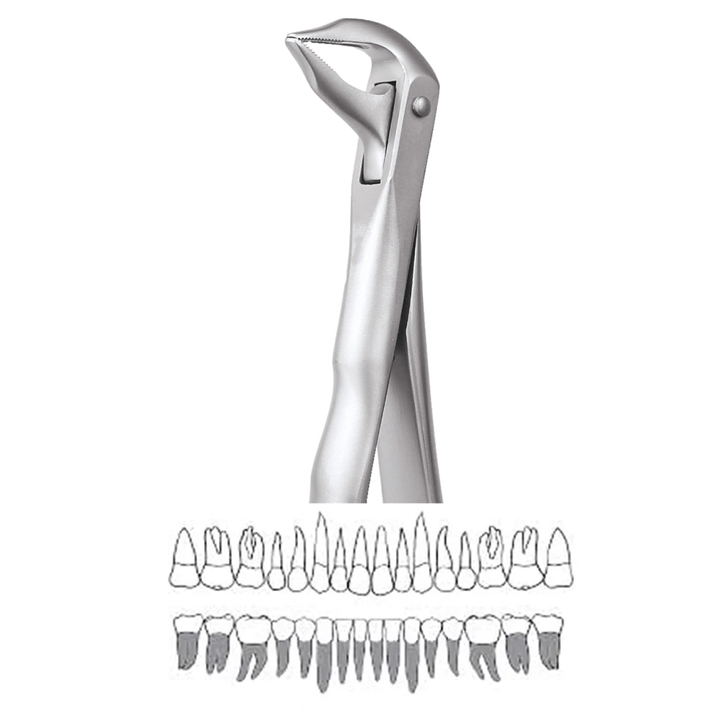 GDC Extraction Forceps Lower Roots - 959.01 Secure (SFX959.01)
